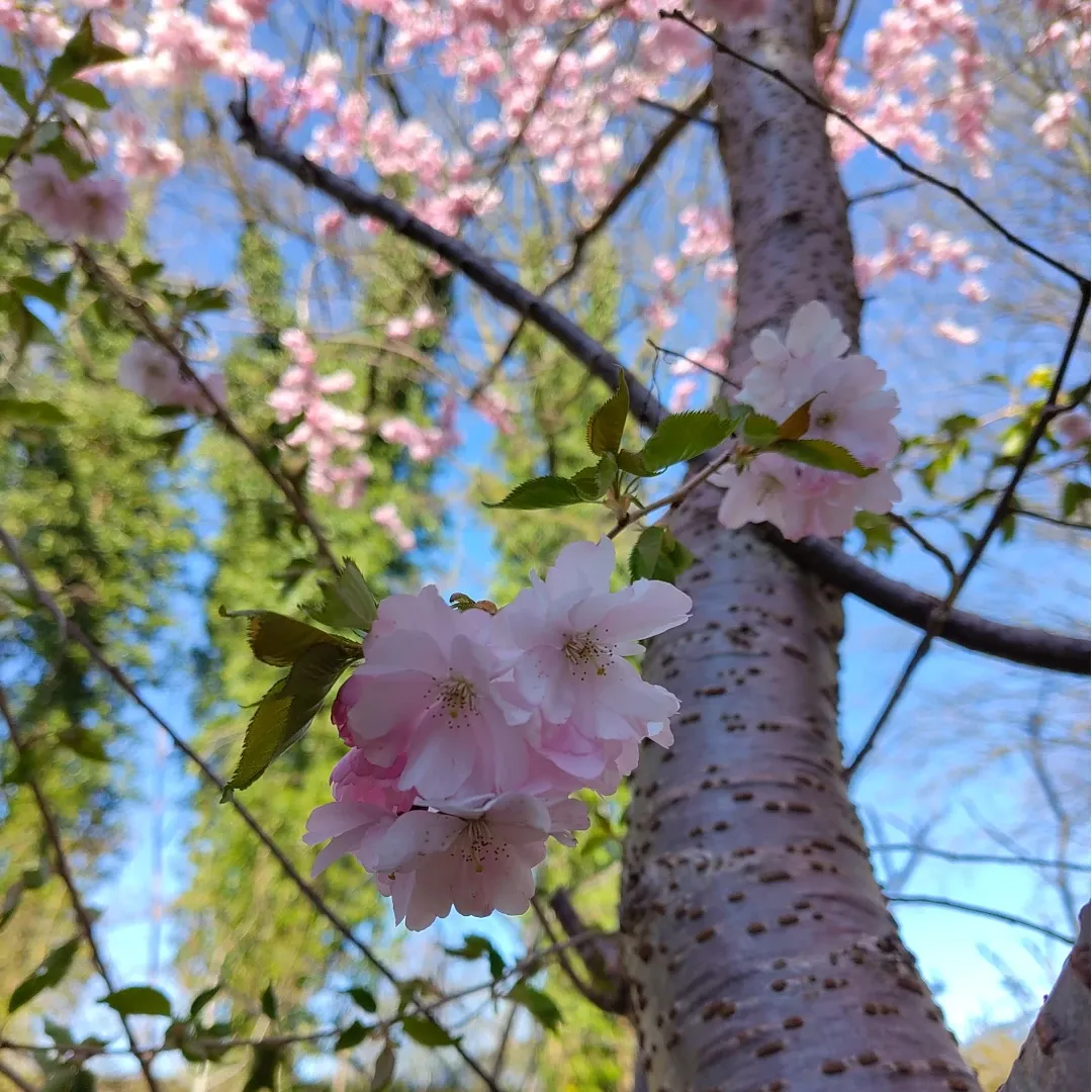 Frühlingsbeginn - Blog Start