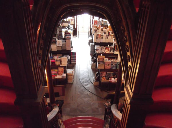 Buchhandlung Livraria Lello in Porto, von der roten Treppe schauend in den Verkaufsraum und zum Eingang.